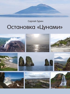 cover image of Остановка «Цунами»